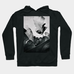 Palm Leaves in Black and White Hoodie